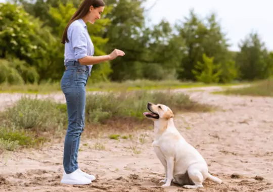 A woman training her dog.