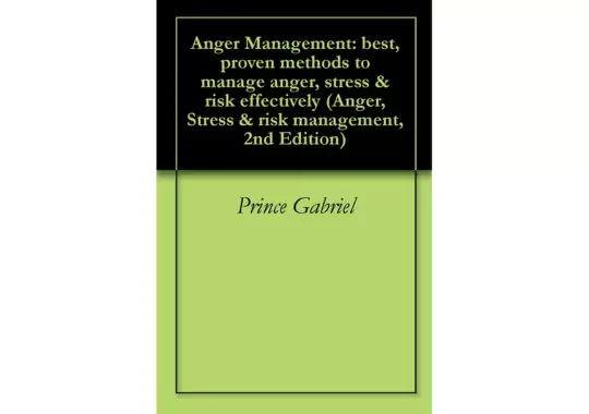 AngerManagement:Best,ProvenMethodstoManageAnger,Stress&RiskEffectively(Anger,Stress&RiskManagement,2ndEditionBook1)