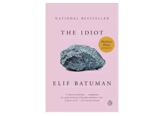 The-Idiot-by-Elif-Batuman