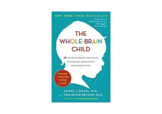 The-Whole-Brain-Child