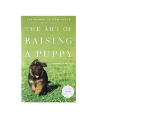 The-Art-of-Raising-a-Puppy