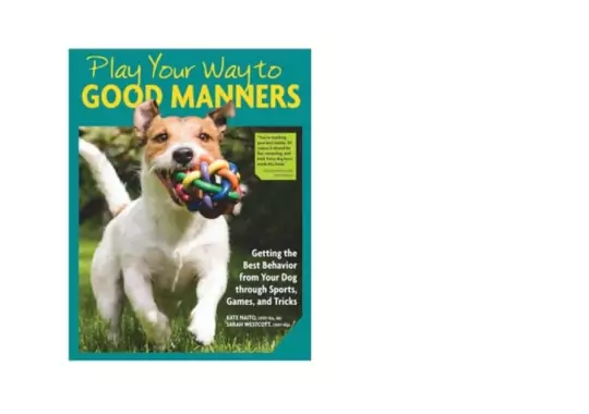 Play-Your-Way-to-Good-Manners