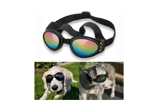 QUMY-Dog-Sunglasses
